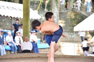 sumou08